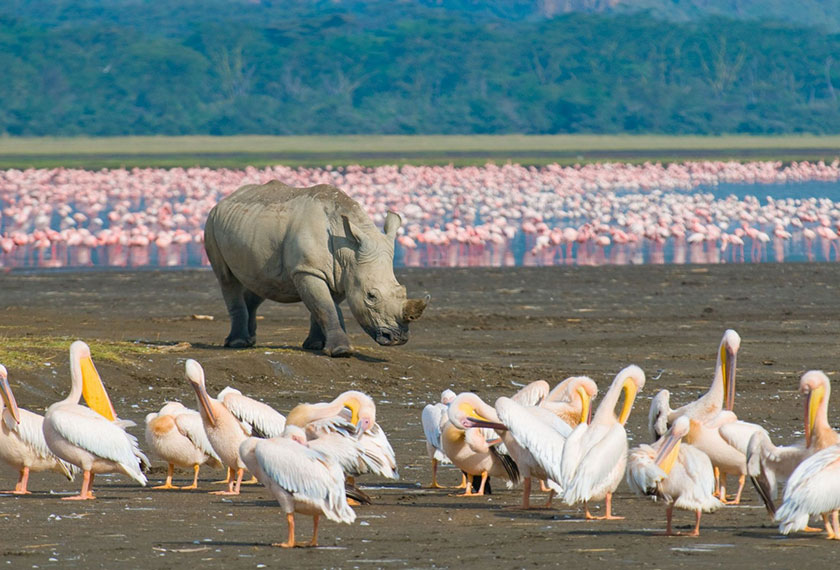 Adventures in Lodwar