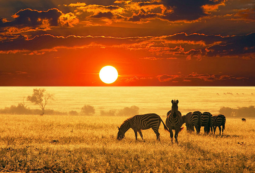 Tourism