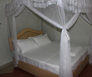 IMG_2710.JPG